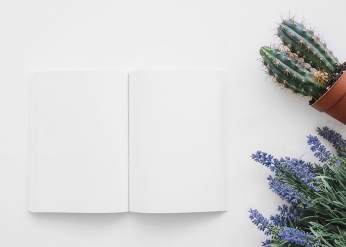 book-cover-mockup-with-cactus-flowers